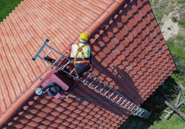 Best Roof Moss and Algae Removal  in Knightdale, NC